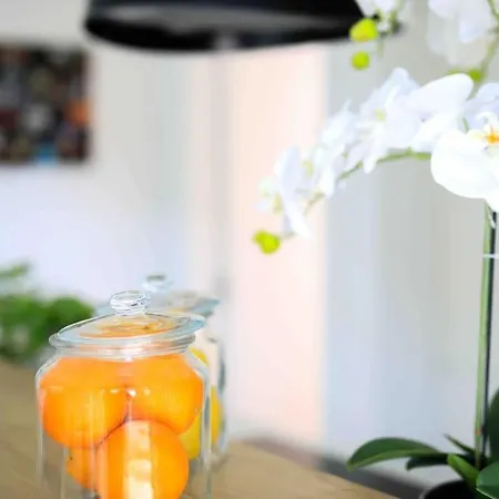 아파트 Anna 자다르